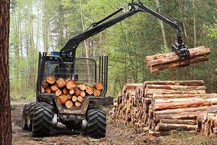 Forestry