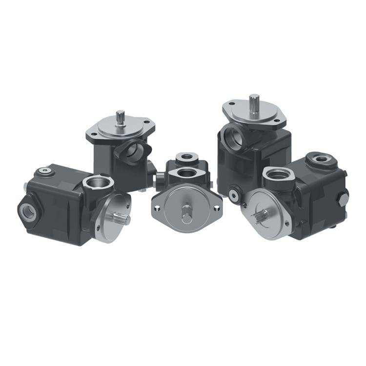 PAKER VANE PUMPS